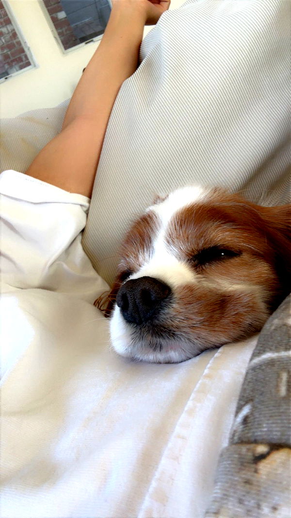 ellieblue2842 image ~ Altpins