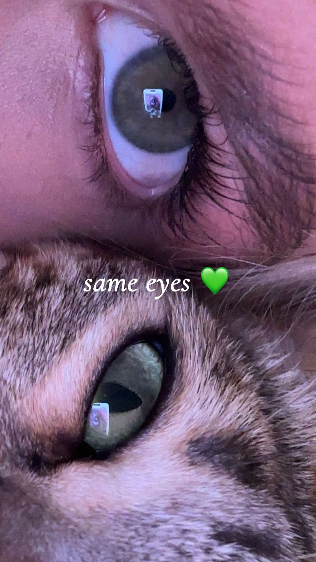 ellieblue2842 snapchat image archive image