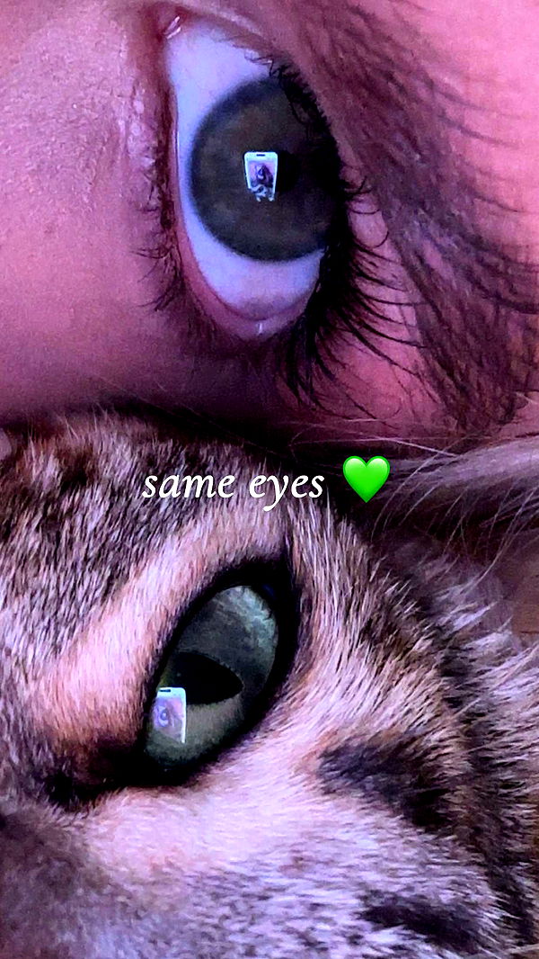 ellieblue2842 image ~ Altpins