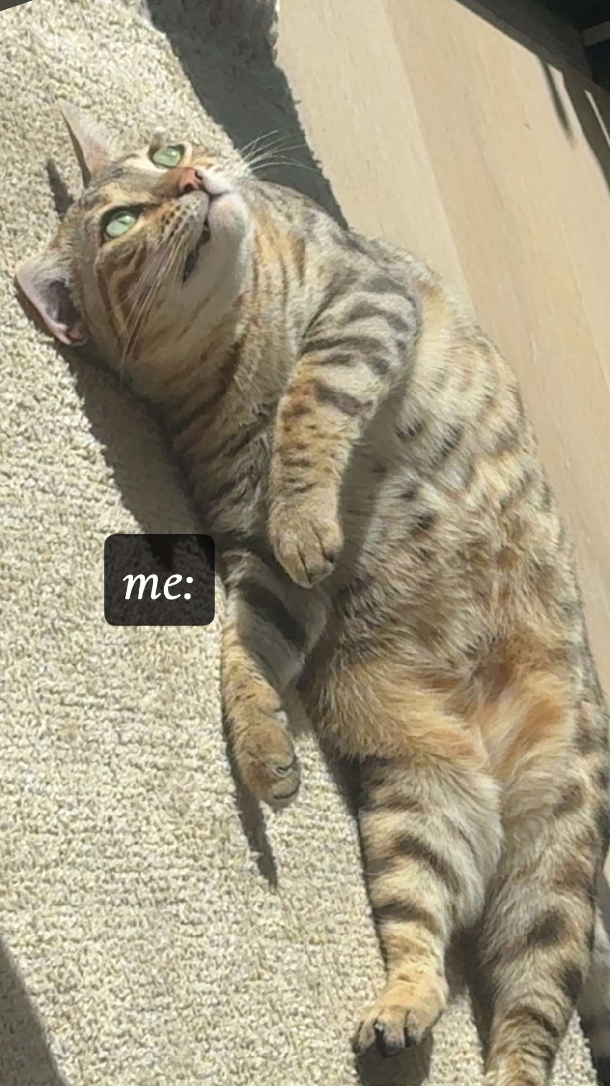 ellieblue2842 snapchat image archive image