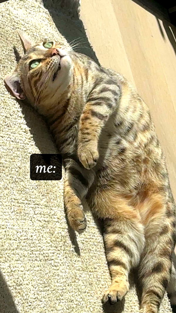 ellieblue2842 image ~ Altpins