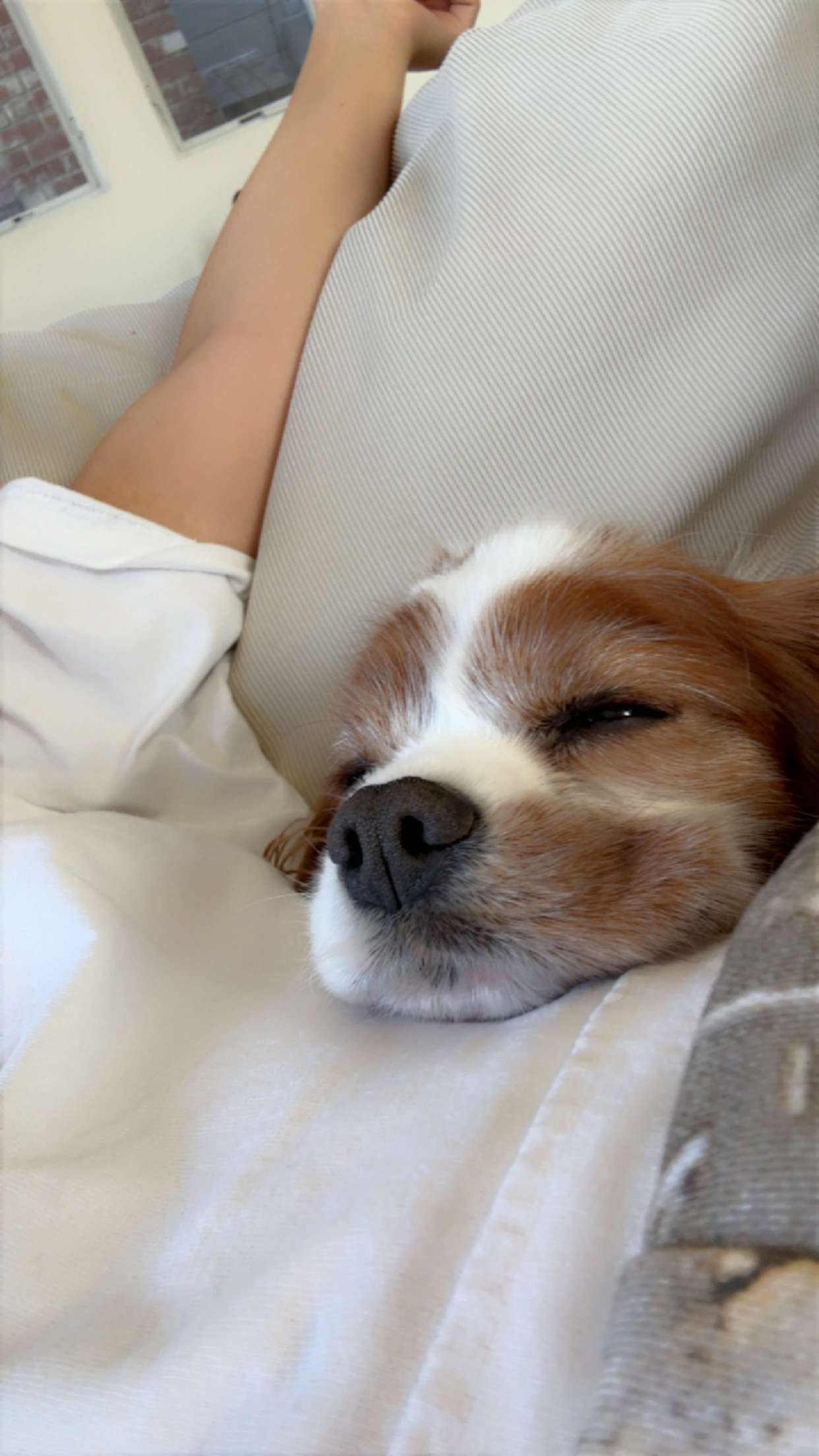 ellieblue2842 snapchat image archive image