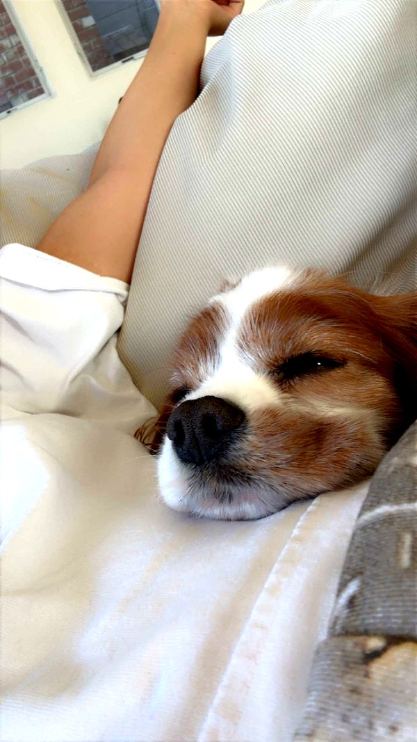 ellieblue2842 image ~ Altpins