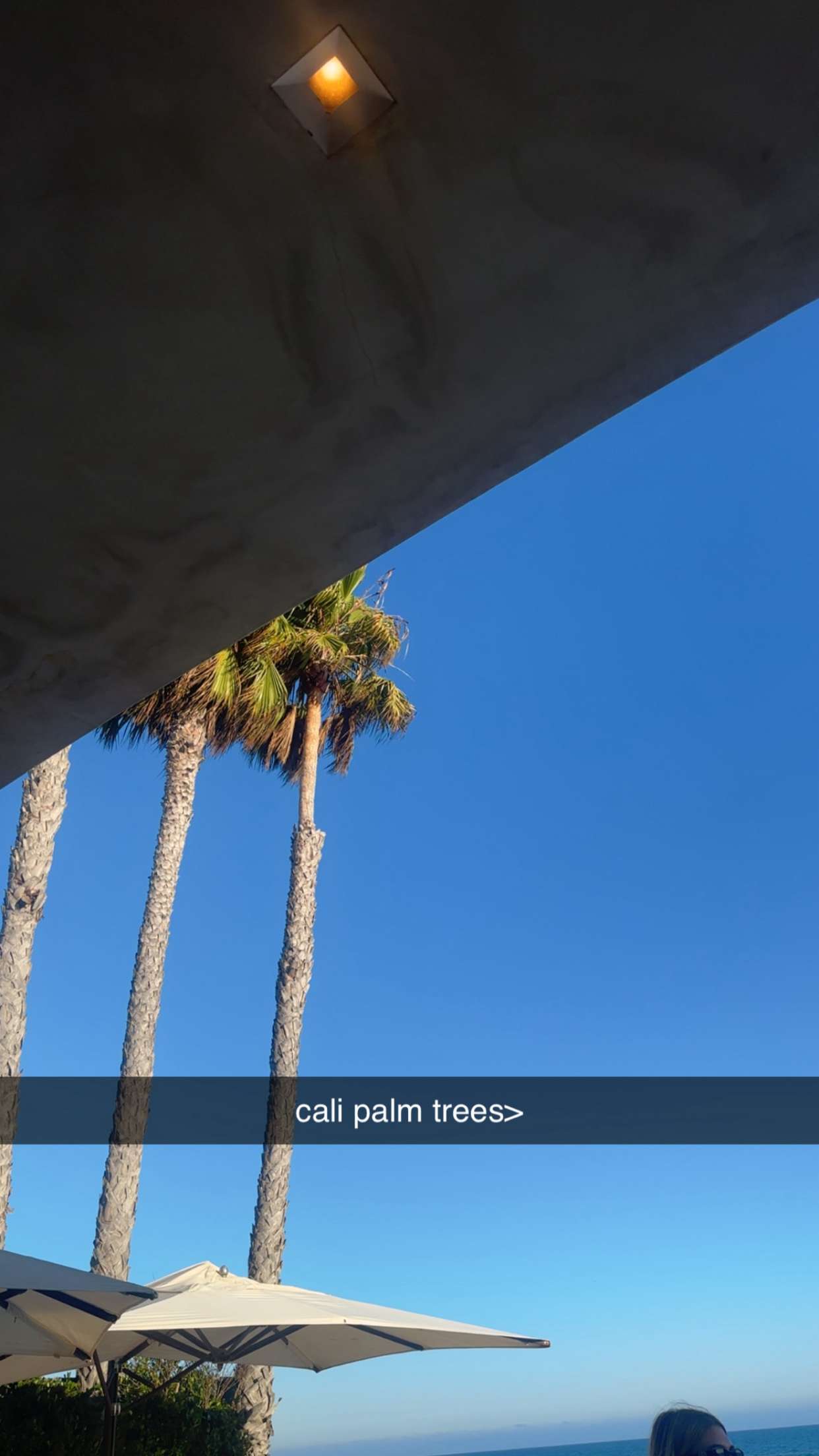 ellieblue2842 snapchat image archive image