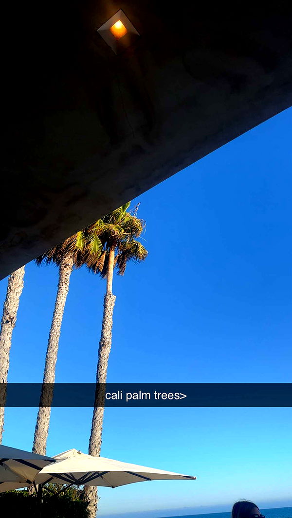 ellieblue2842 image ~ Altpins