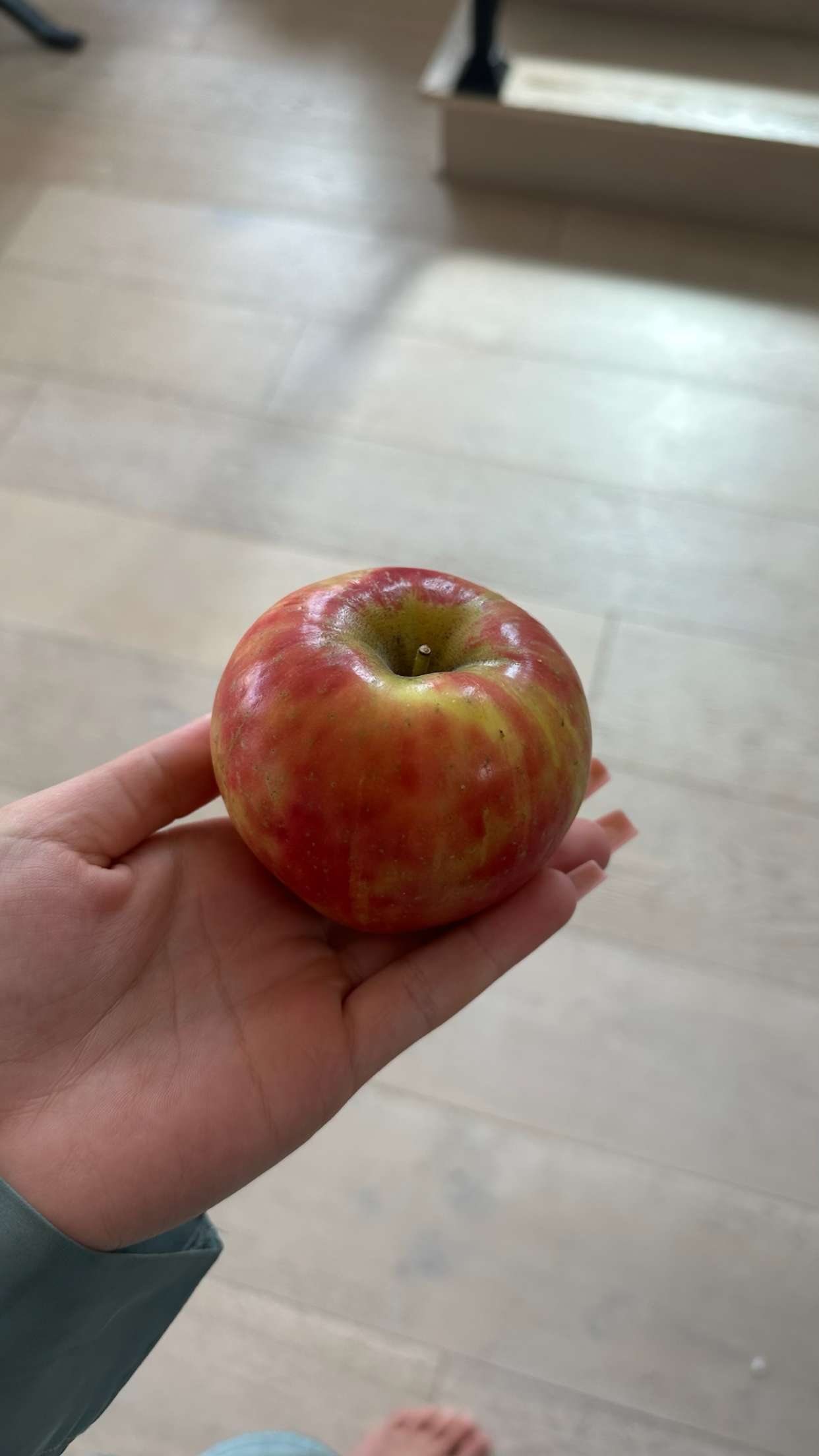 ellieblue2842 snapchat image archive image