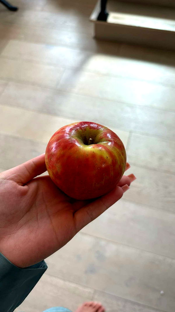 ellieblue2842 image ~ Altpins