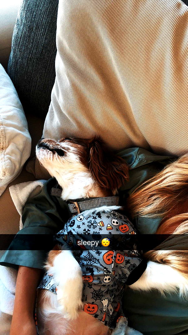 ellieblue2842 image ~ Altpins