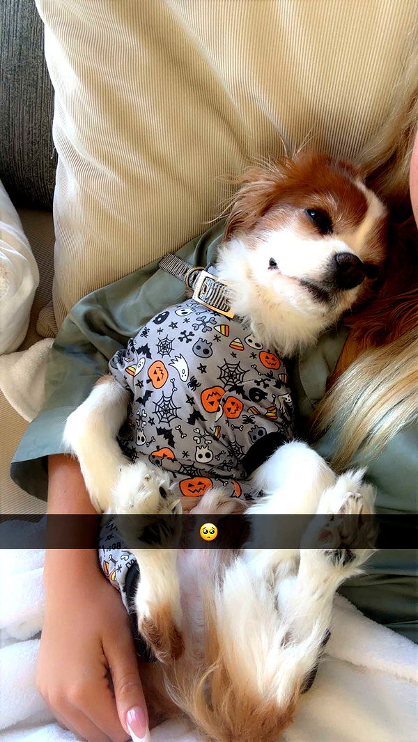 ellieblue2842 image ~ Altpins