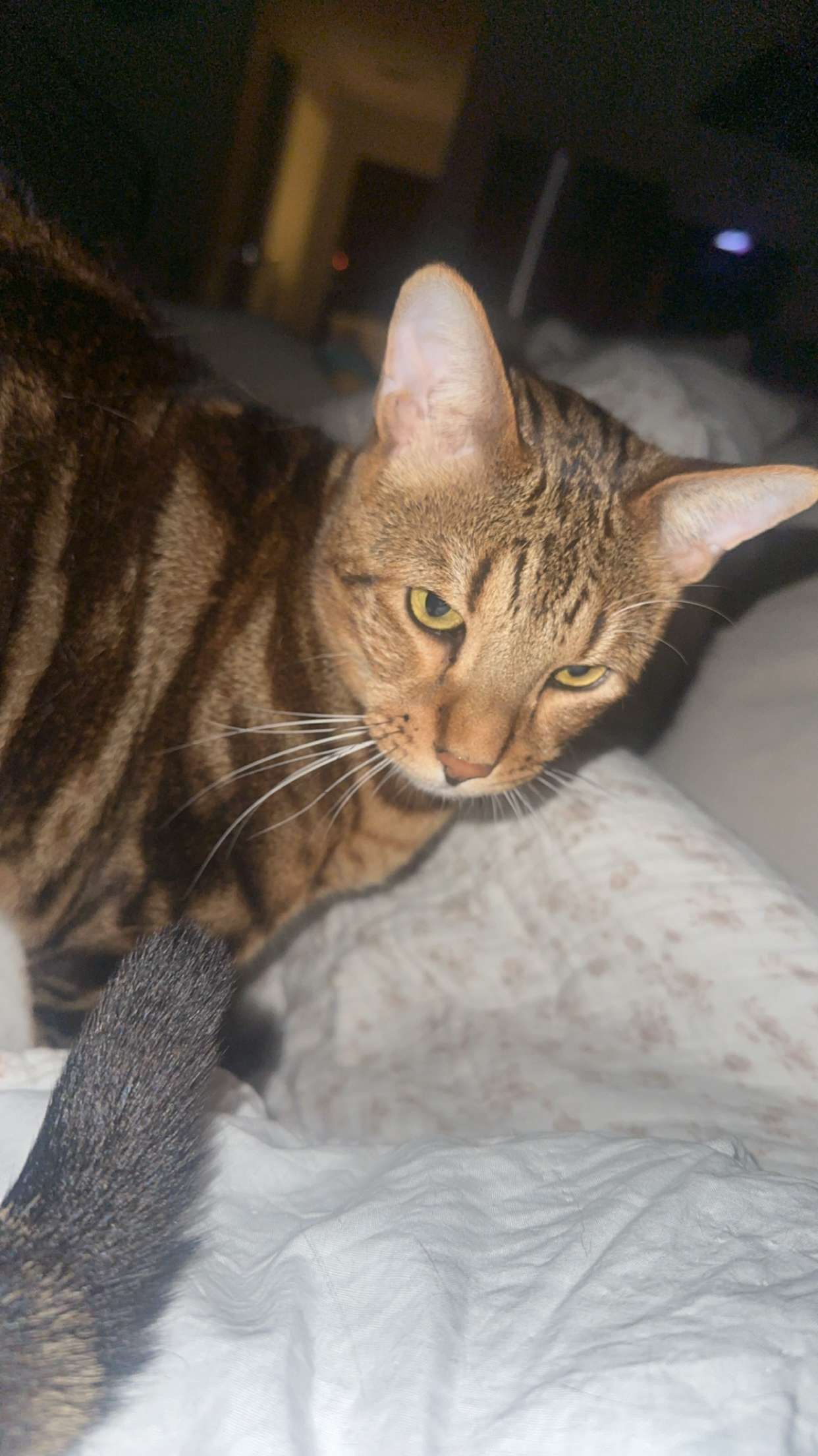 ellieblue2842 snapchat image archive image