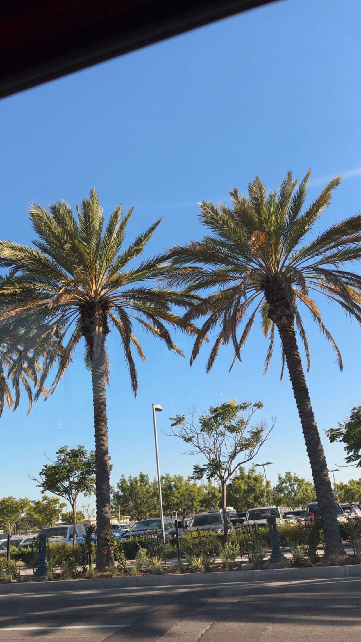 ellieblue2842 snapchat image archive image