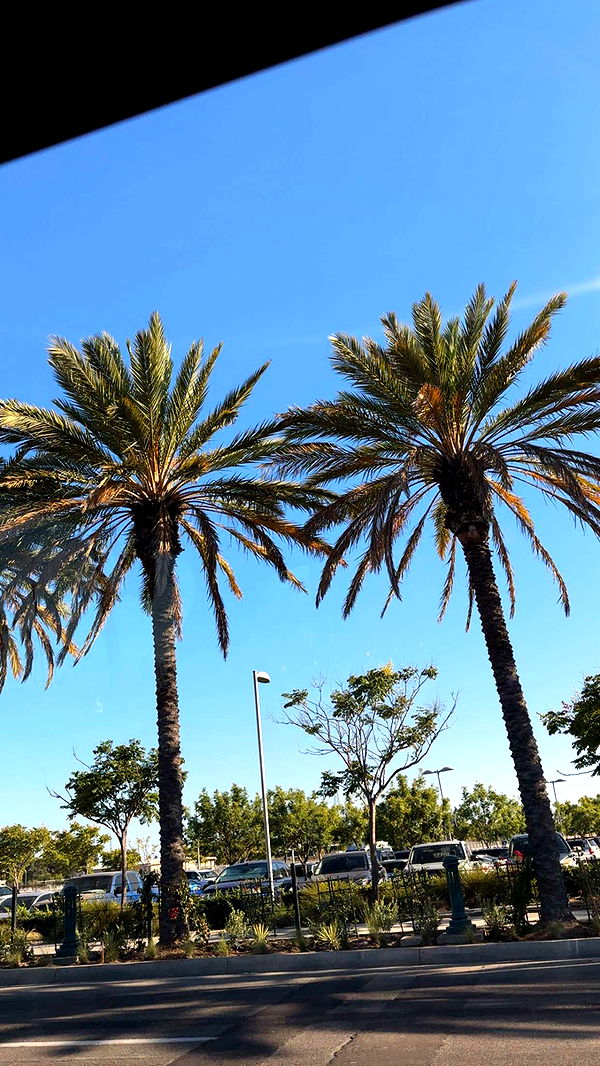 ellieblue2842 image ~ Altpins