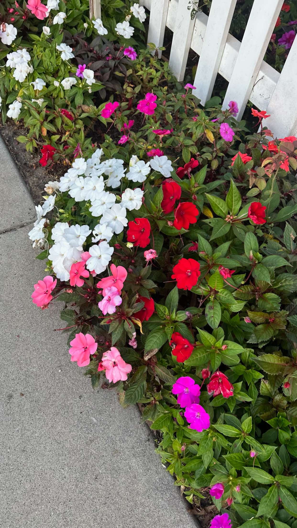 ellieblue2842 snapchat image archive image