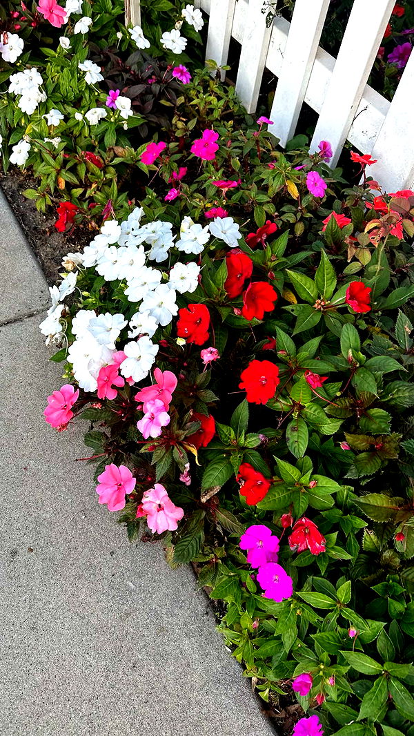 ellieblue2842 image ~ Altpins