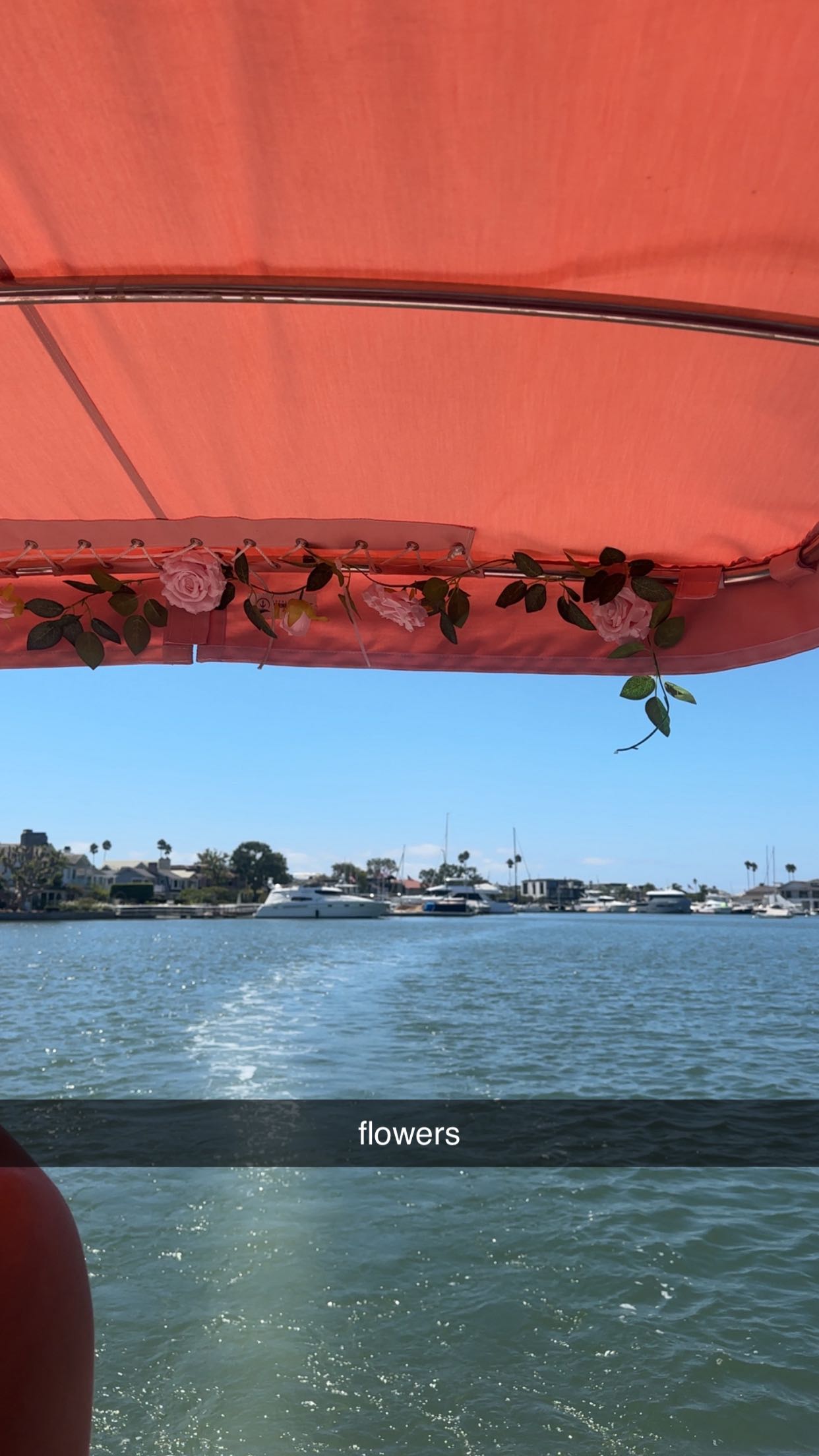 ellieblue2842 snapchat image archive image