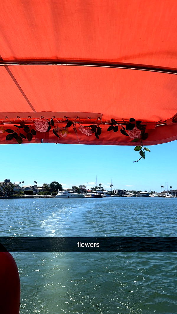 ellieblue2842 image ~ Altpins