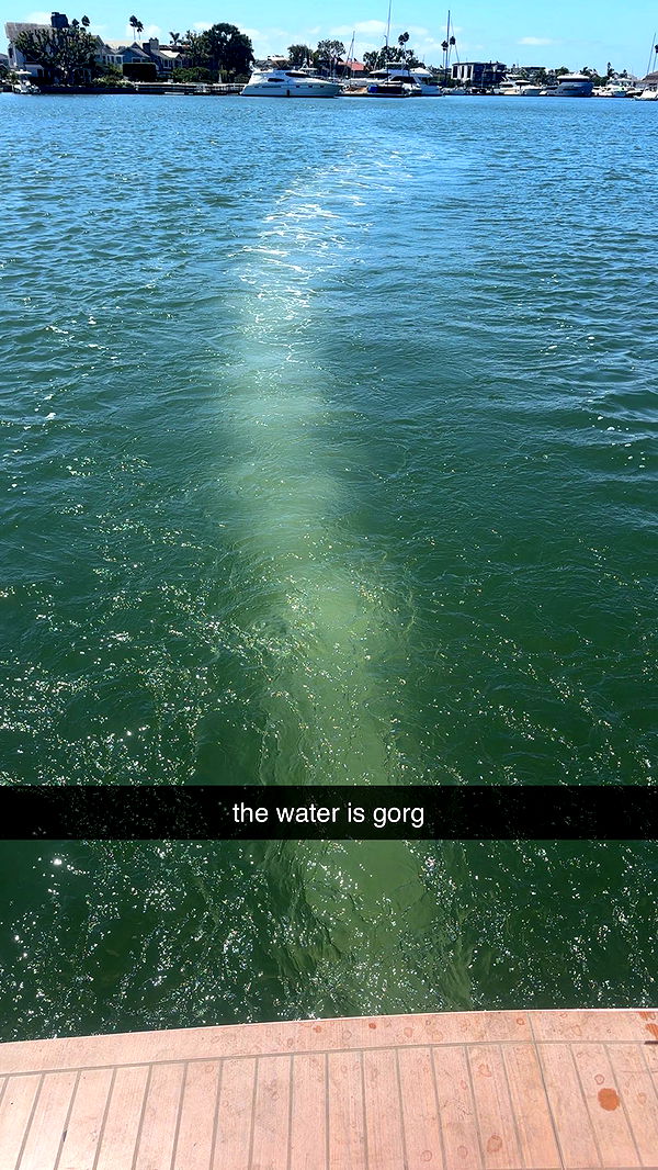 ellieblue2842 image ~ Altpins