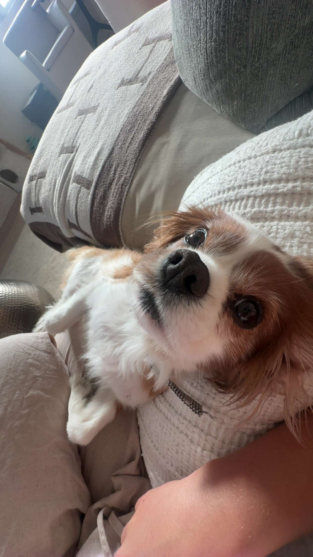 ellieblue2842 snapchat image archive image