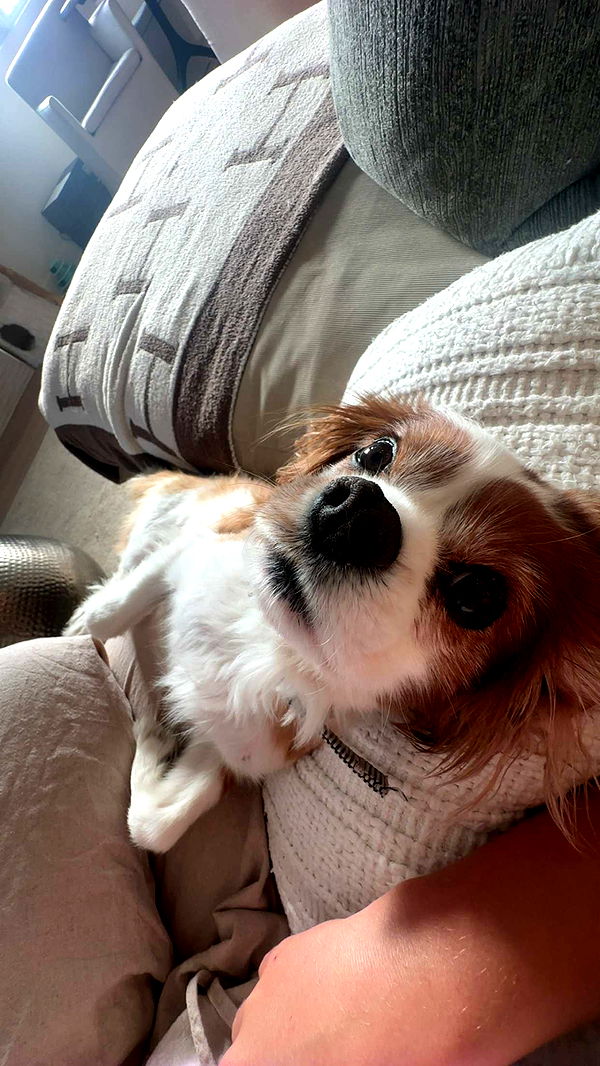 ellieblue2842 image ~ Altpins