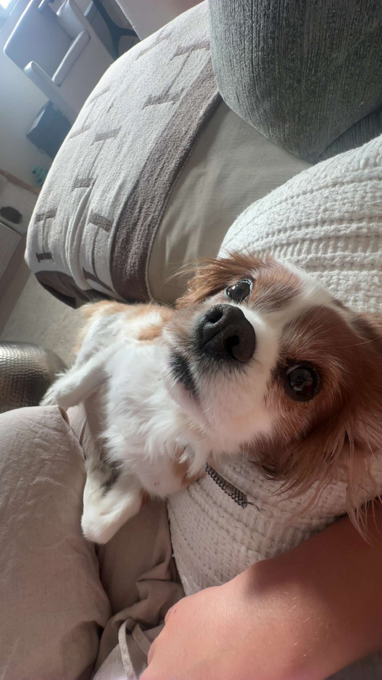 ellieblue2842 snapchat image archive image