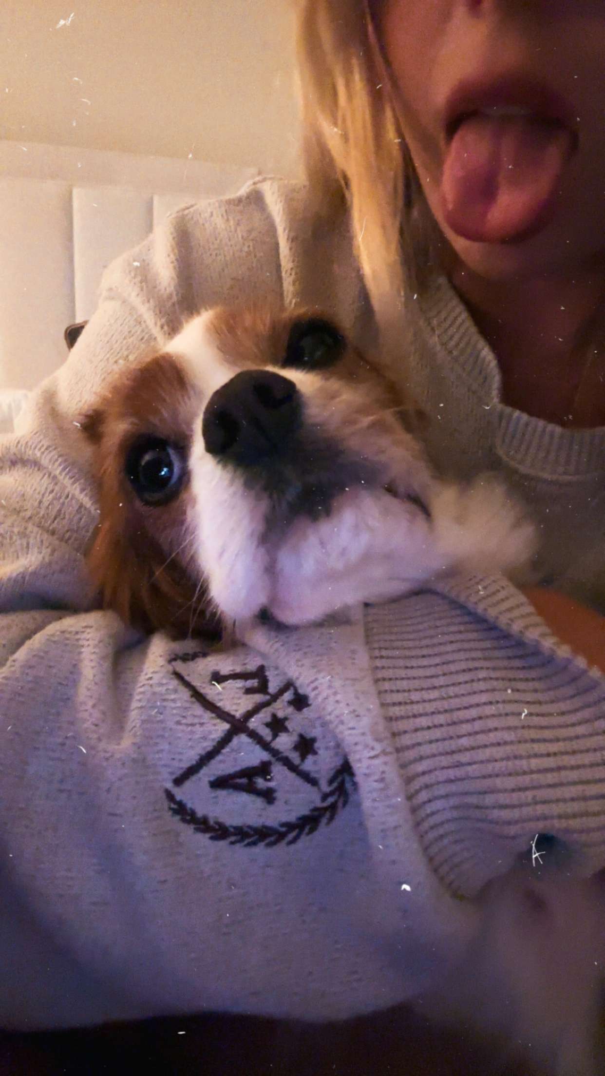 ellieblue2842 snapchat image archive image