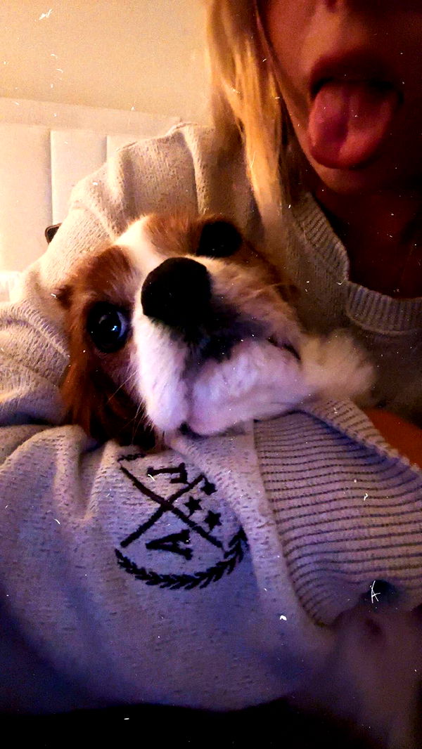 ellieblue2842 image ~ Altpins