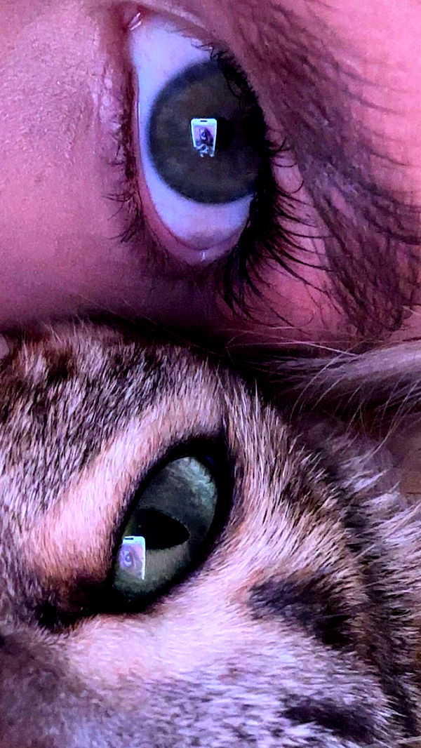 ellieblue2842 image ~ Altpins