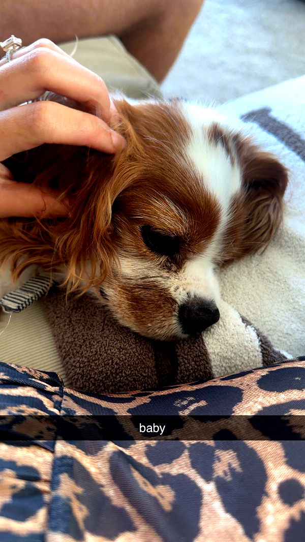 ellieblue2842 image ~ Altpins