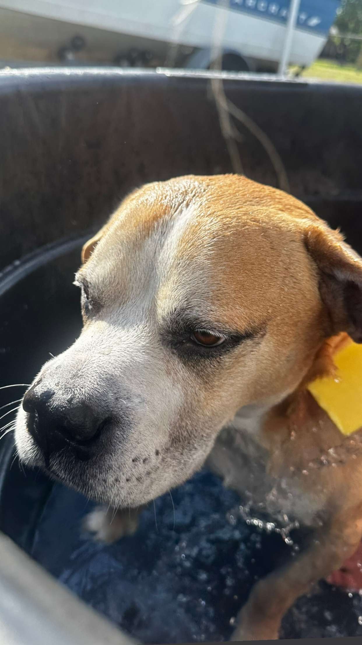 ellieblue2842 snapchat image archive image