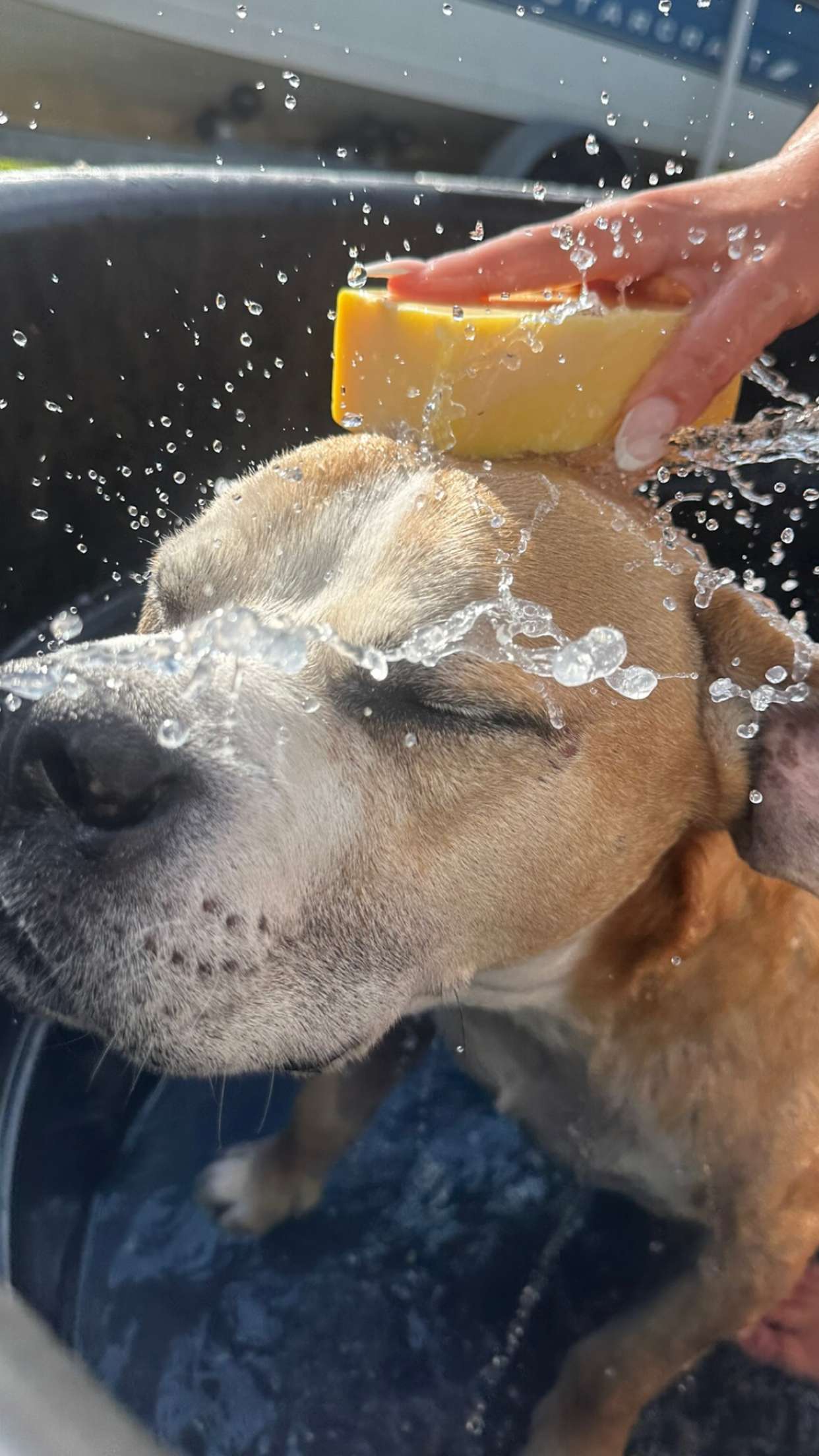 ellieblue2842 snapchat image archive image