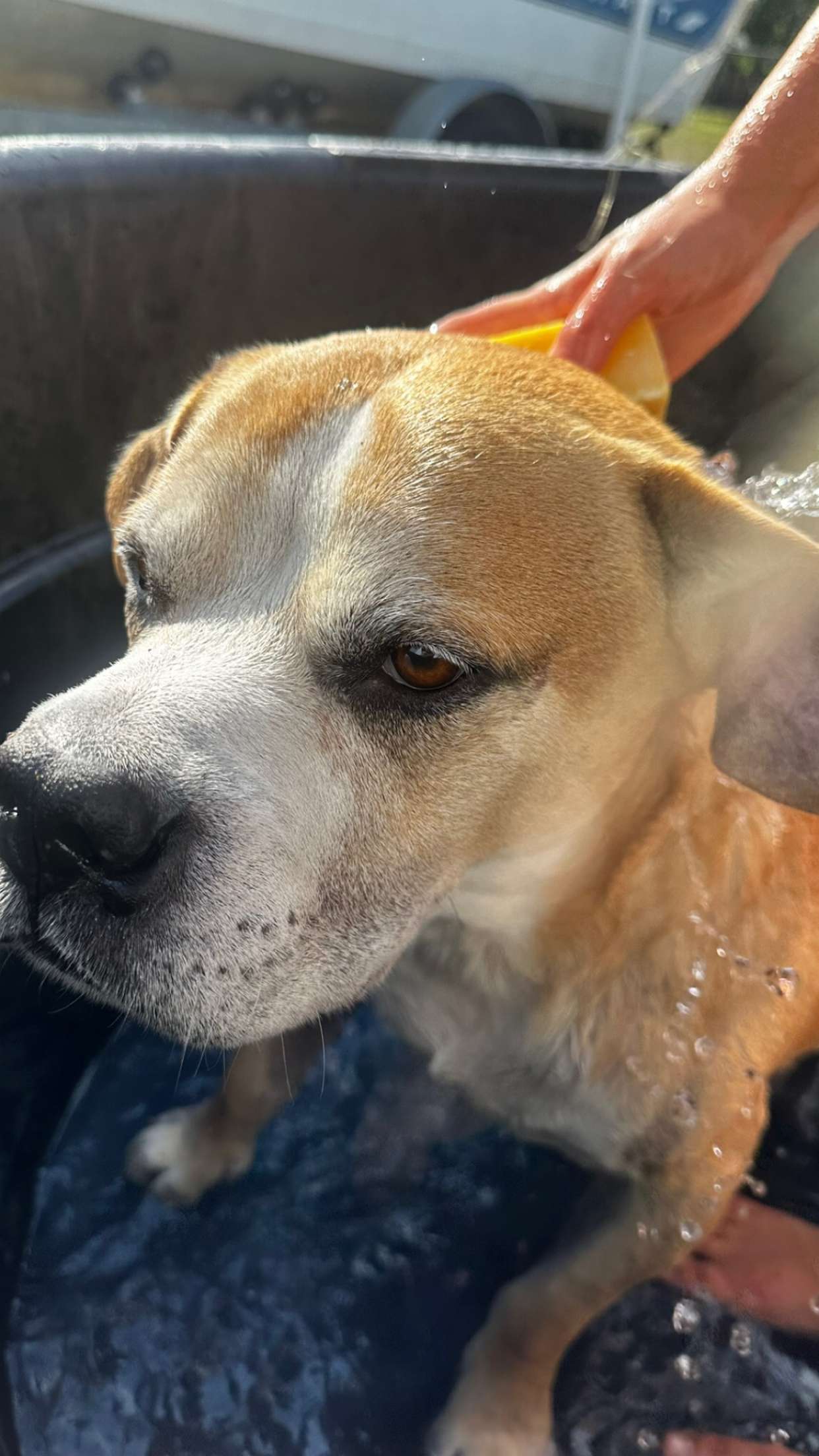 ellieblue2842 snapchat image archive image