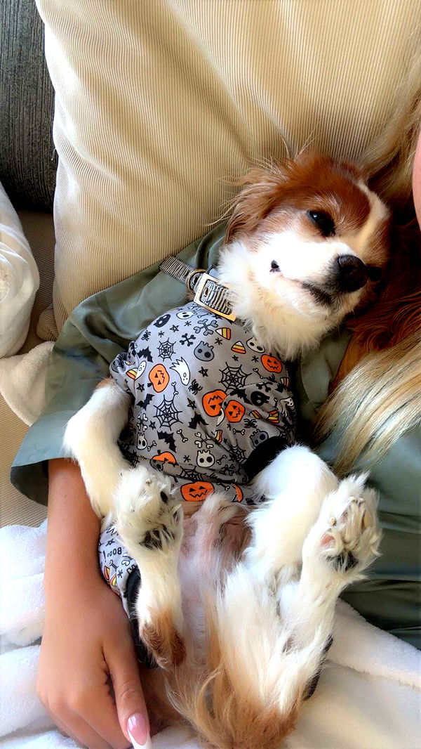 ellieblue2842 image ~ Altpins