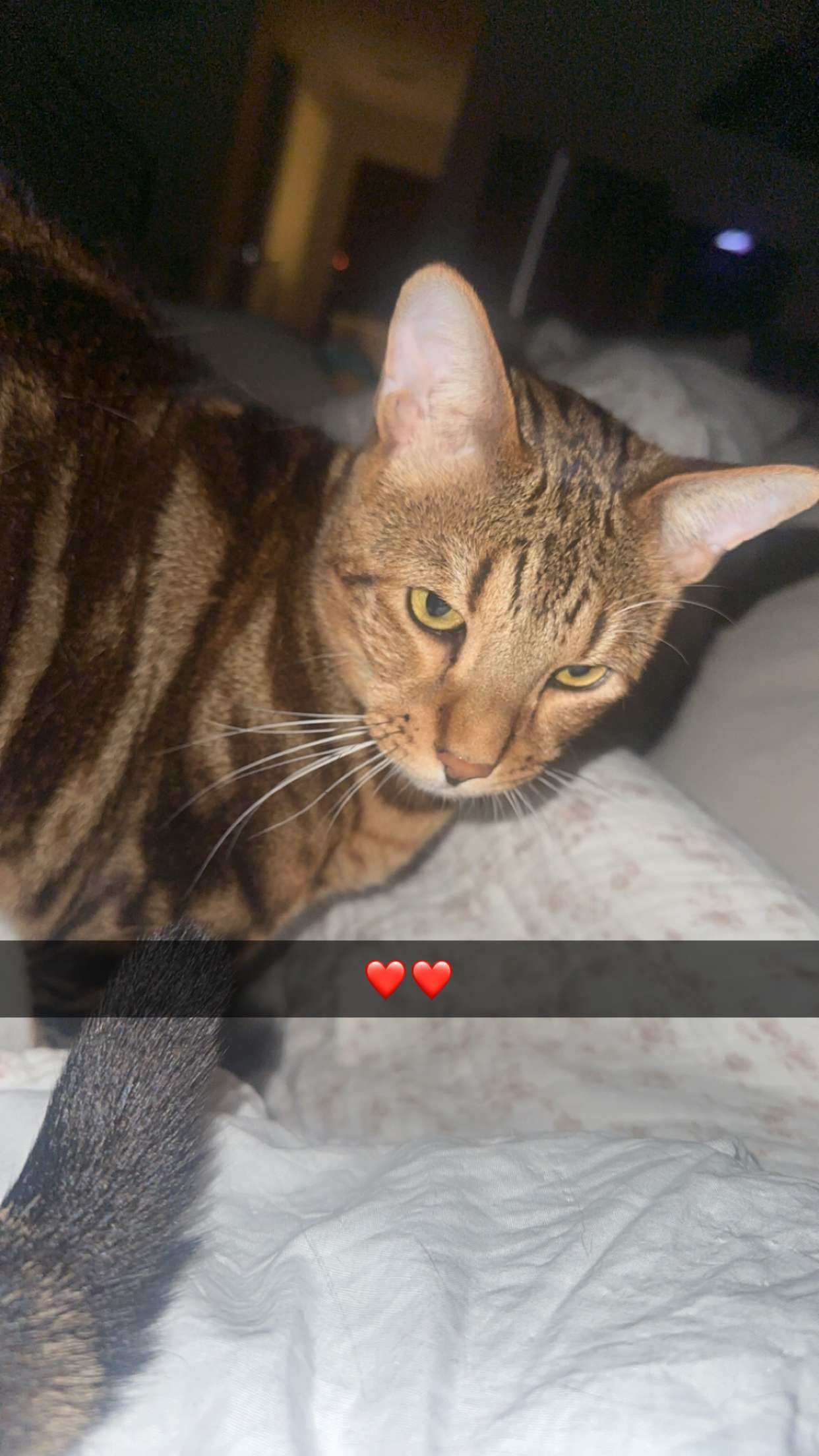 ellieblue2842 snapchat image archive image