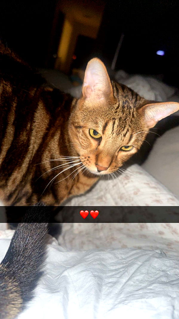 ellieblue2842 image ~ Altpins