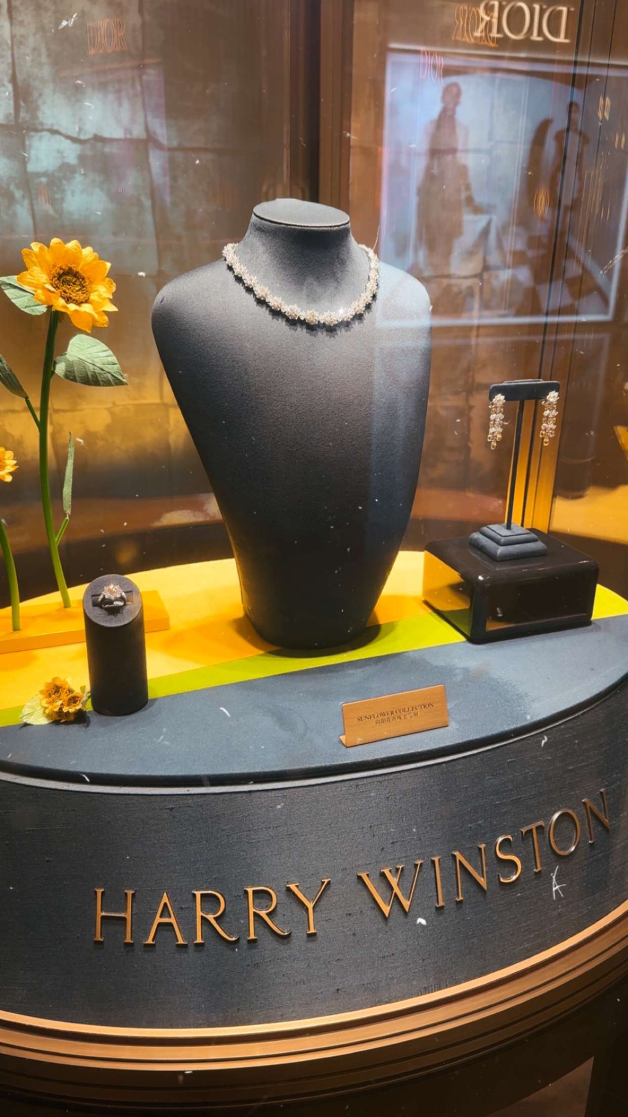 ellieblue2842 snapchat image archive image