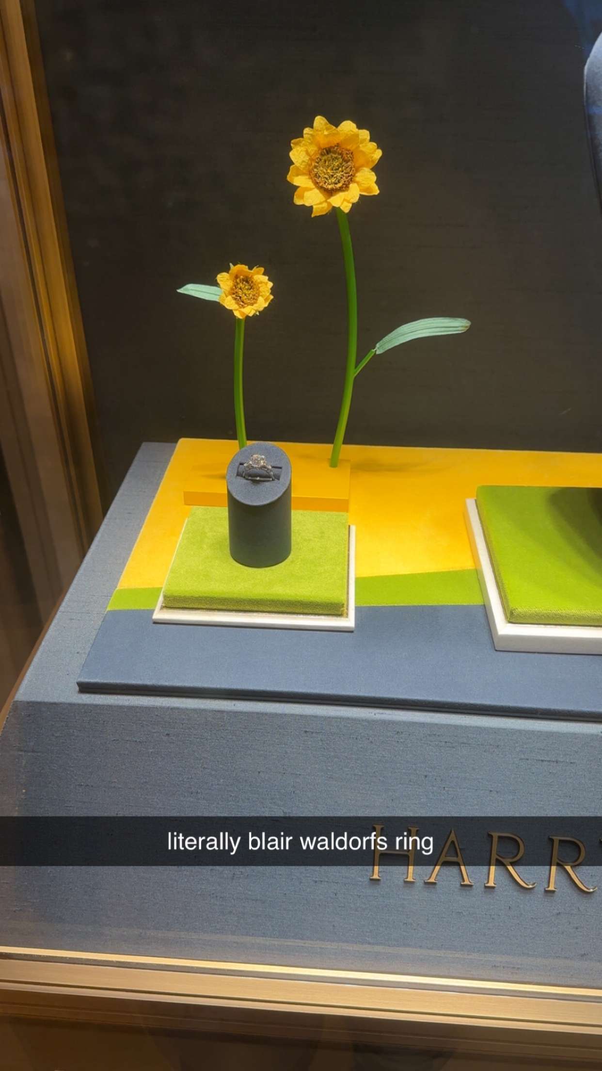 ellieblue2842 snapchat image archive image