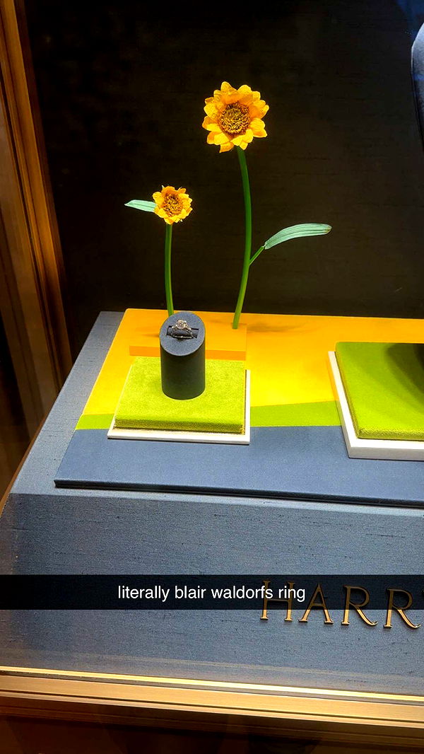 ellieblue2842 image ~ Altpins