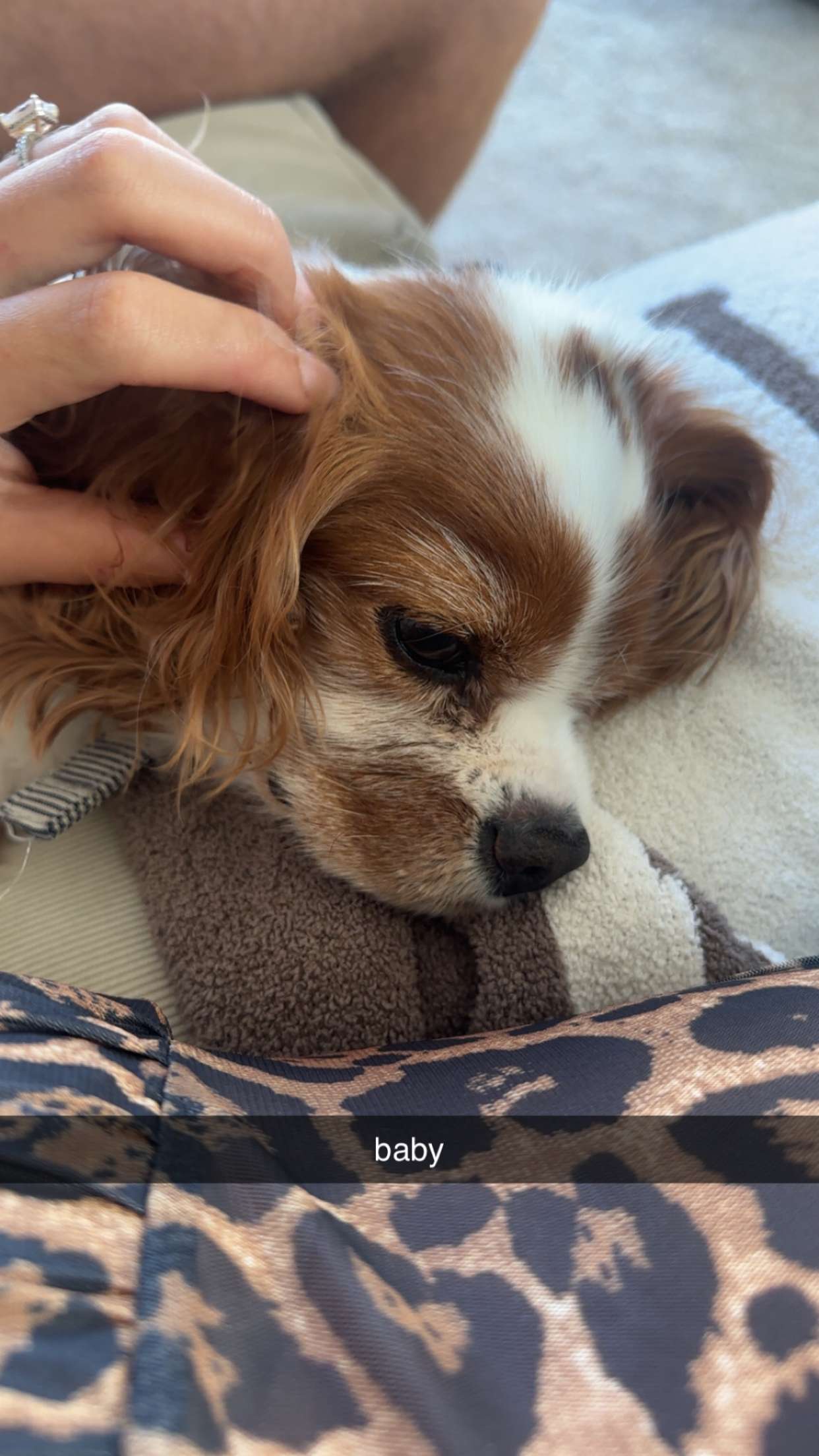 ellieblue2842 snapchat image archive image