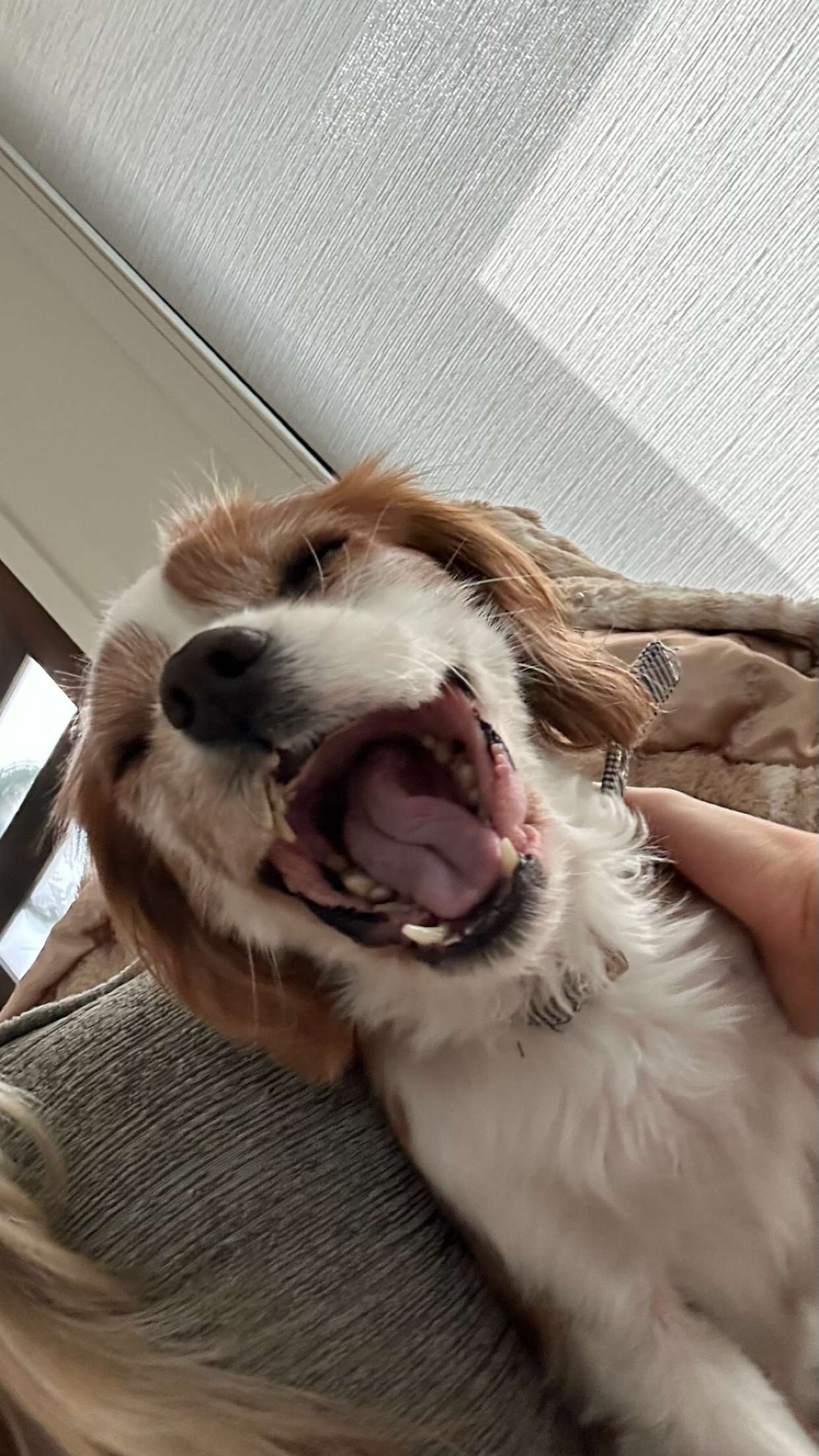 ellieblue2842 snapchat image archive image