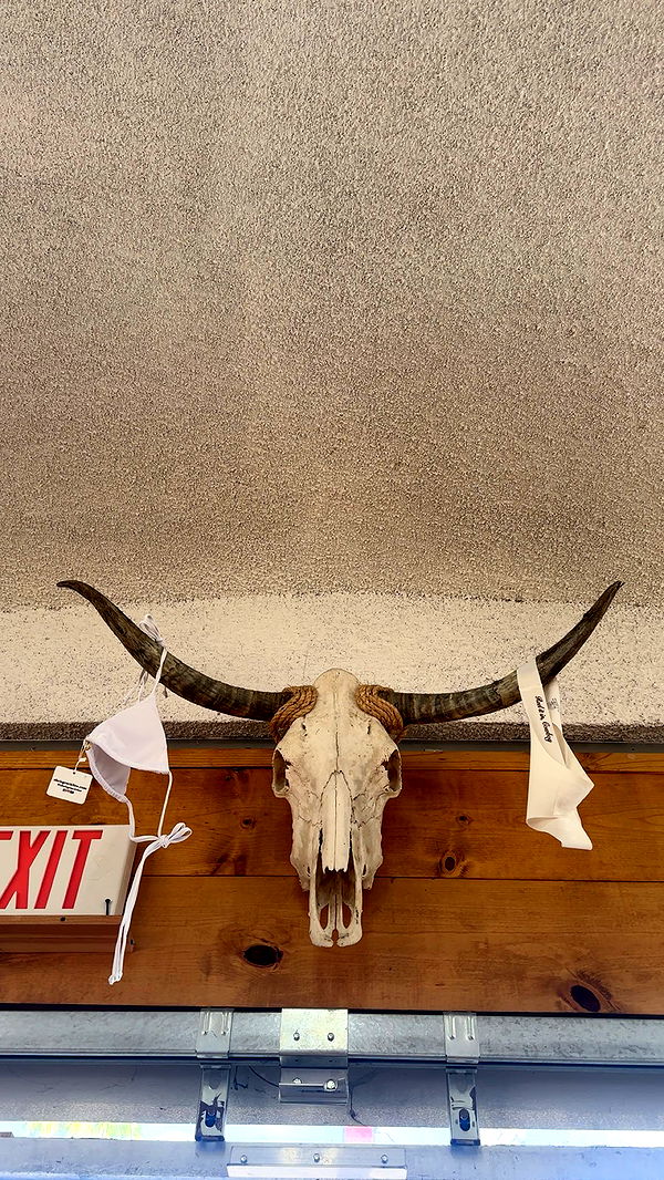 ellieblue2842 image ~ Altpins