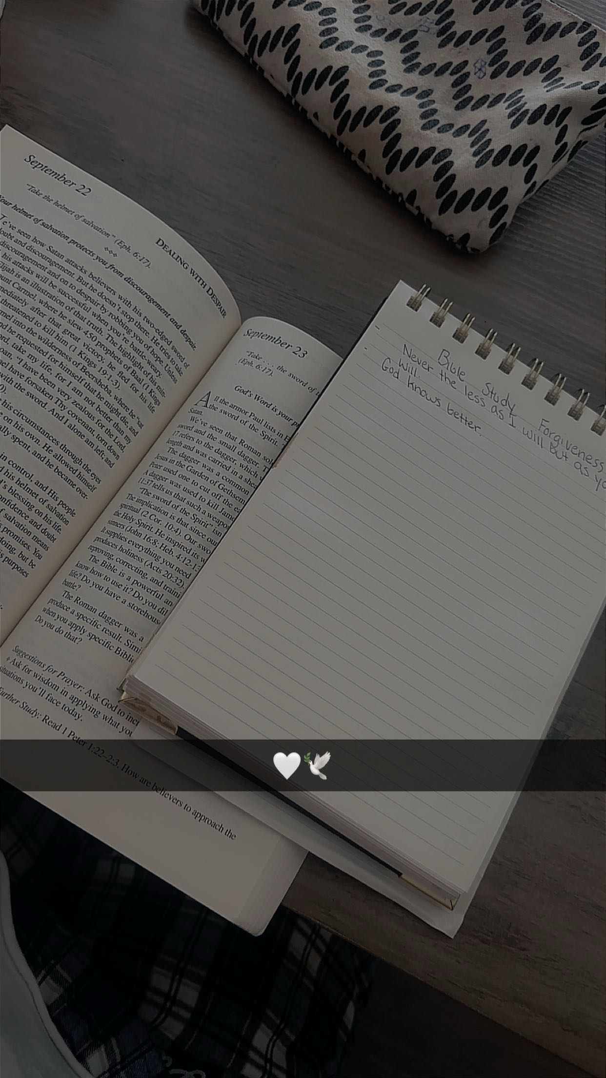 ellieblue2842 snapchat image archive image