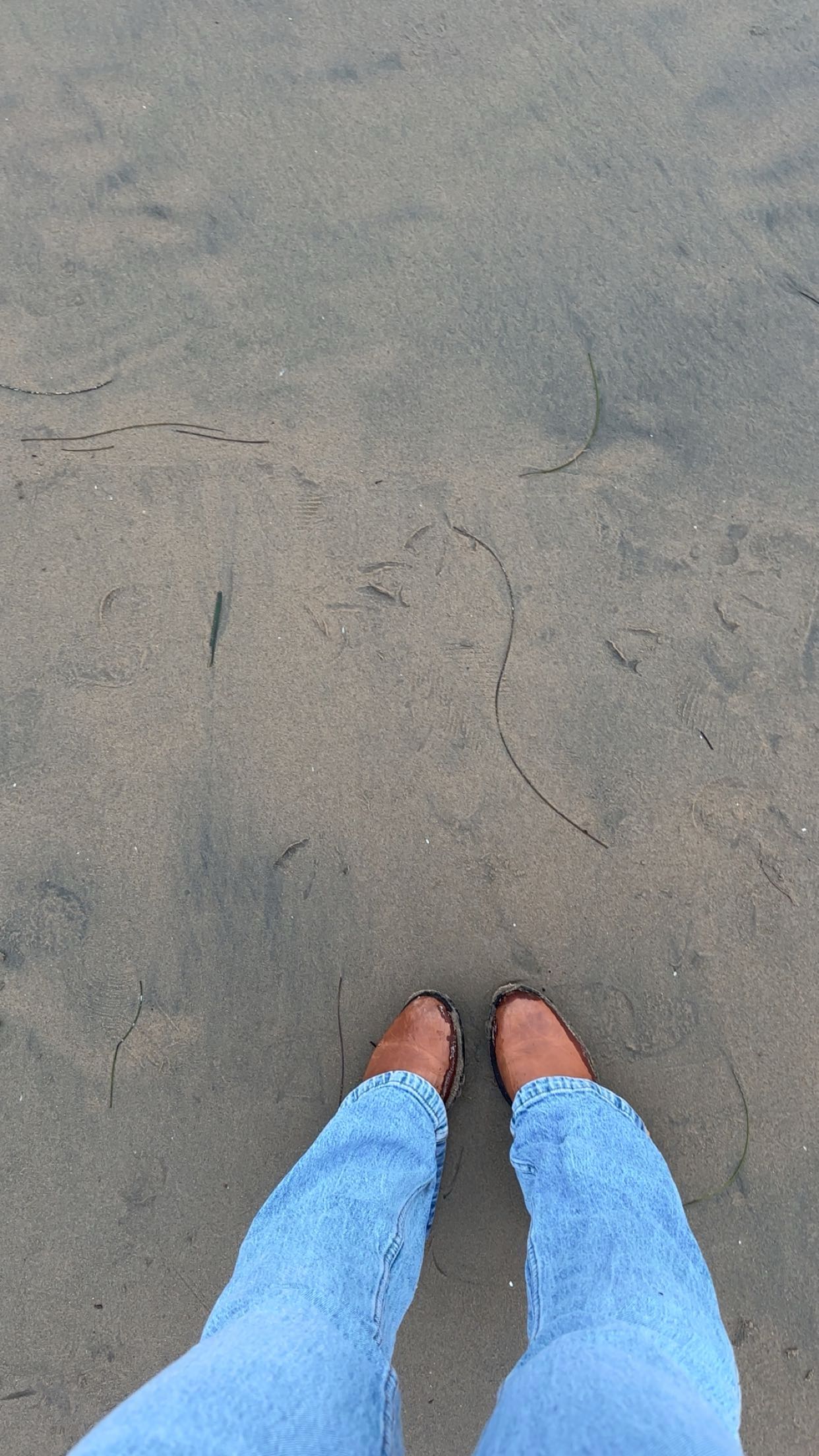 ellieblue2842 snapchat image archive image