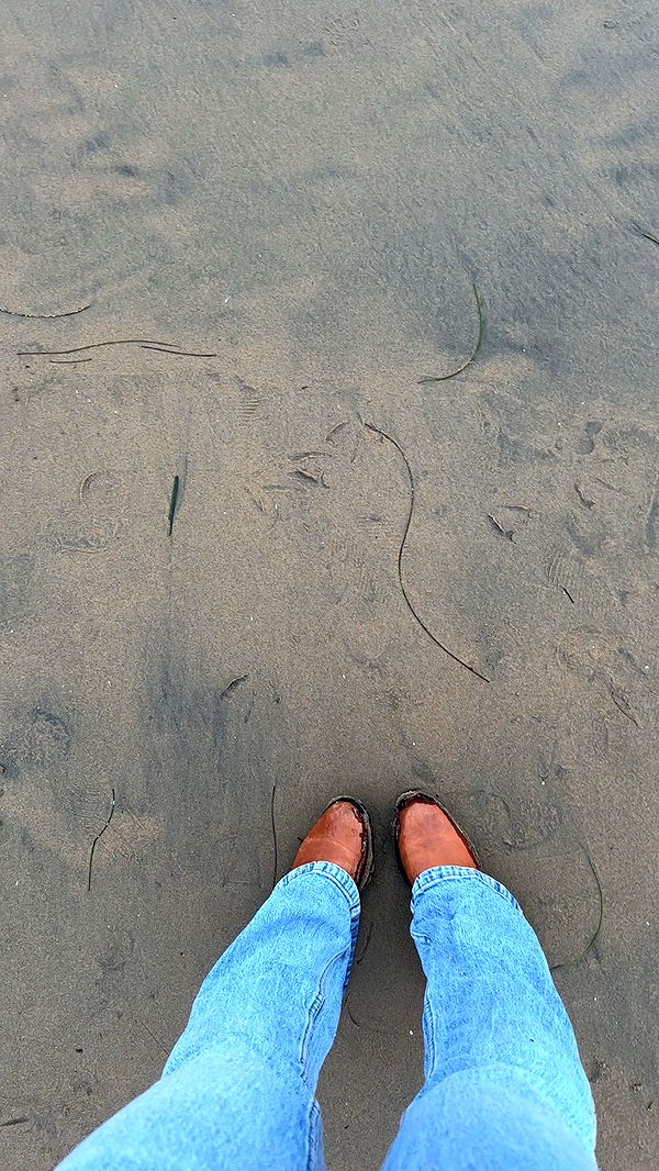 ellieblue2842 image ~ Altpins