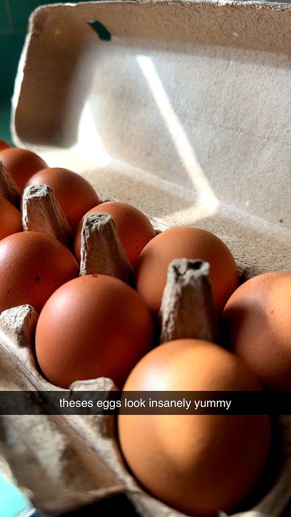 ellieblue2842 image ~ Altpins