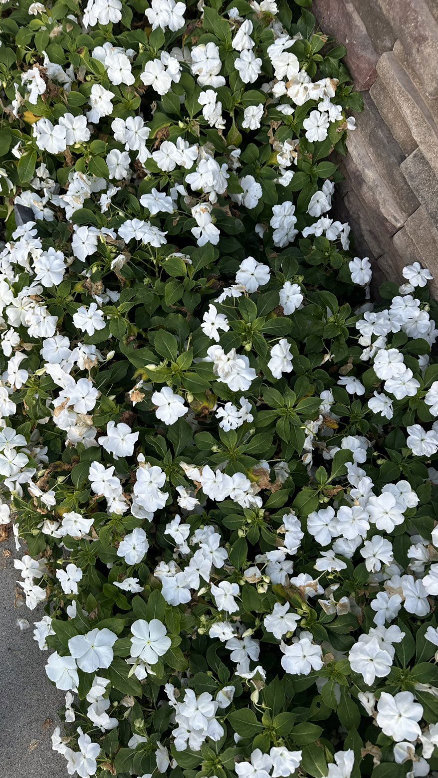 ellieblue2842 snapchat image archive image