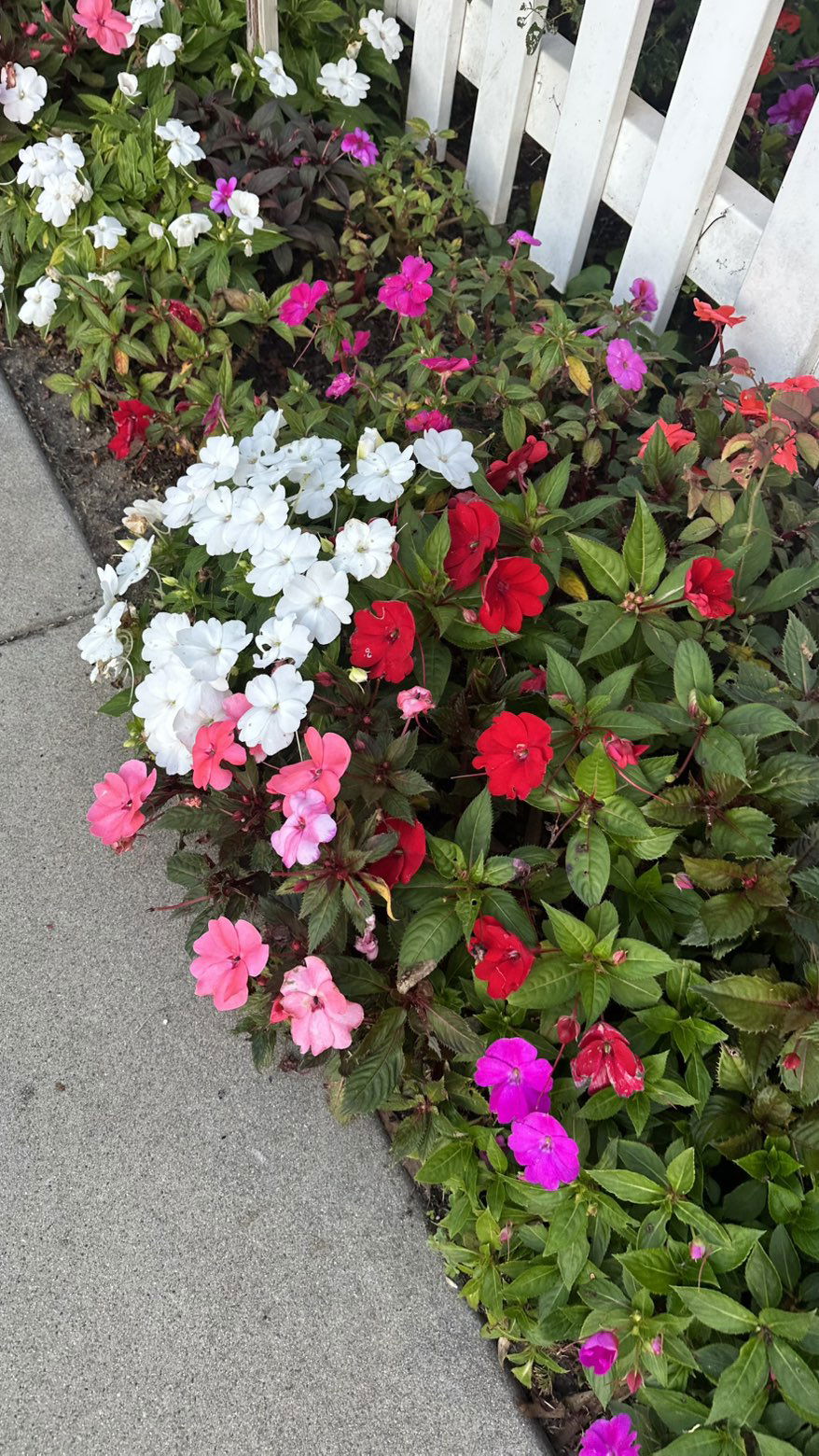 ellieblue2842 snapchat image archive image