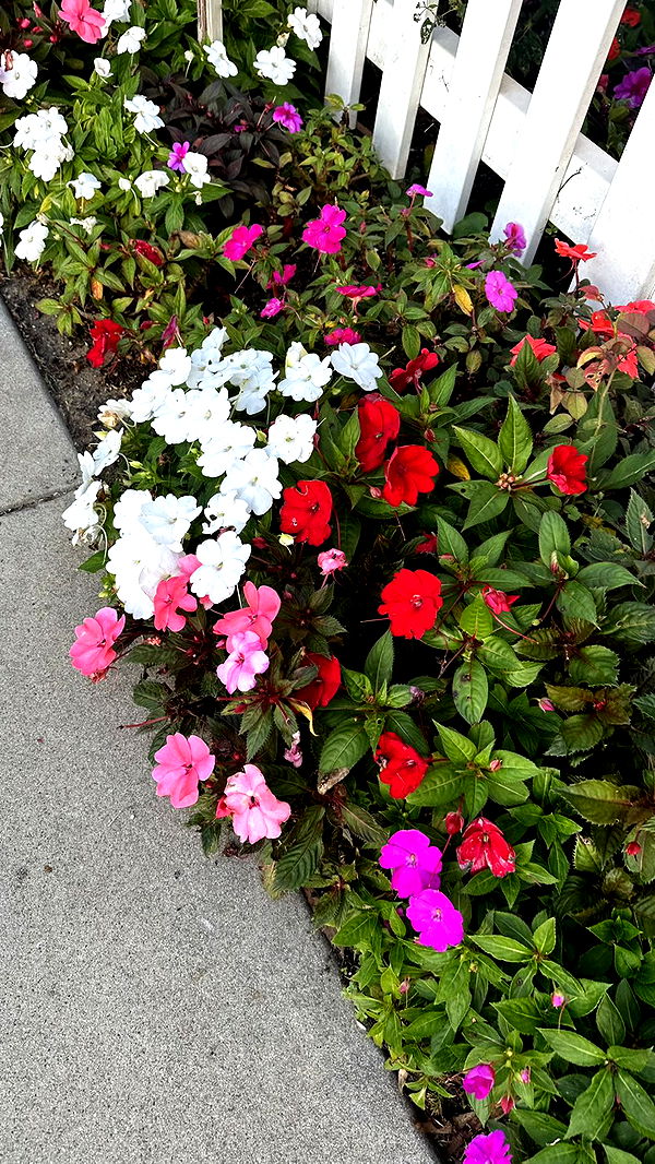 ellieblue2842 image ~ Altpins