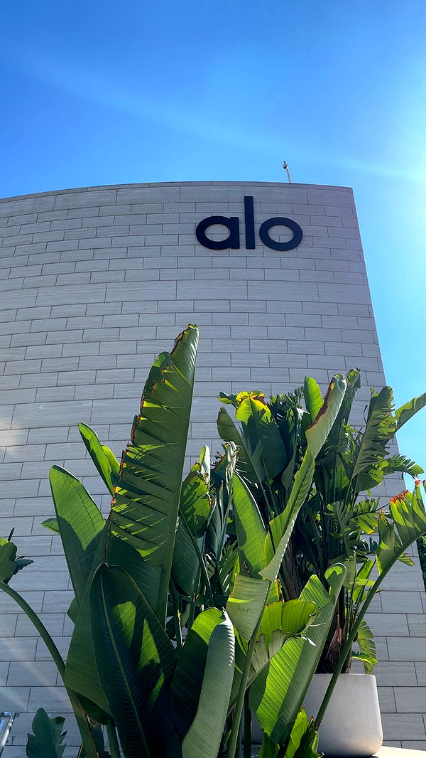 ellieblue2842 image ~ Altpins