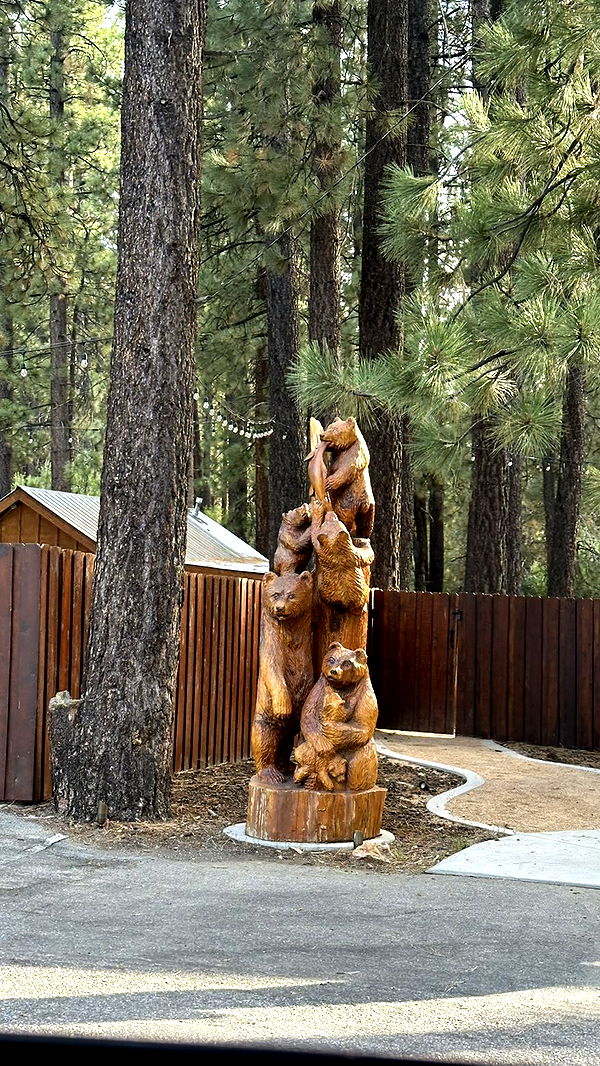 ellieblue2842 image ~ Altpins