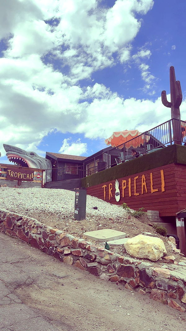 ellieblue2842 image ~ Altpins